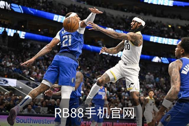 RB88手机官网公司简介展示图